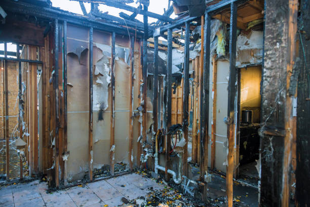 Professional Smoke Odor Removal technician working in Mount Laurel, NJ